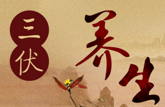 三伏贴一次贴多长时间