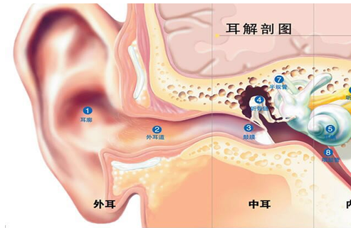 小儿夏季游泳外耳道感染要不要看医生？