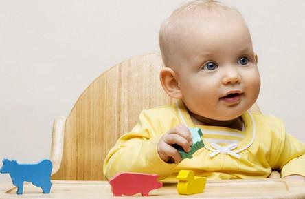 0-3岁宝宝感统训练大全，奠定一生专注力