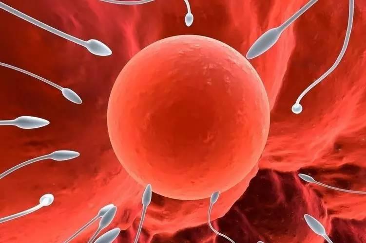 精子活力低该如何调理？