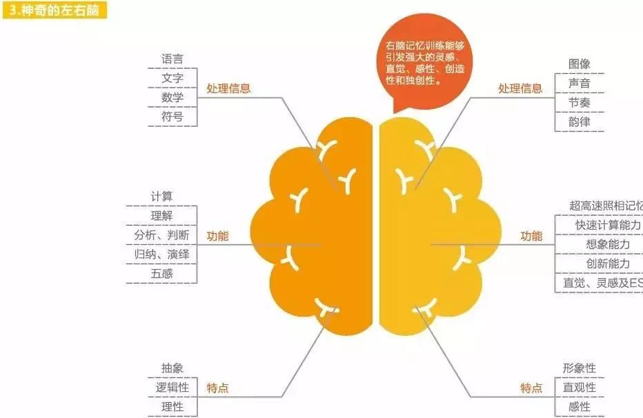 3岁前这样带娃，养出高注意力的宝宝