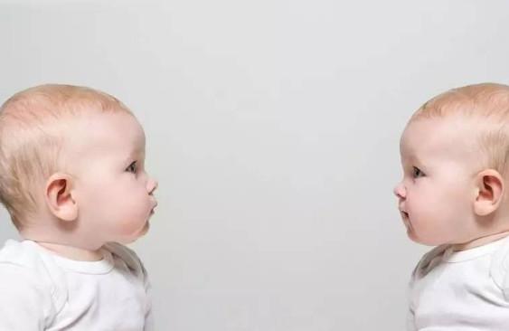 排卵药有助于双胞胎吗？