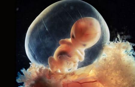 胎儿发育过程全41周每周图解！太全啦！