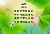 幼儿教育古诗朗诵之《小池》