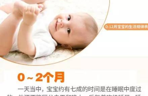 0-12月宝宝的一日生活规律表！