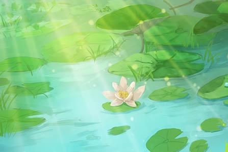 桂皮的功效与作用