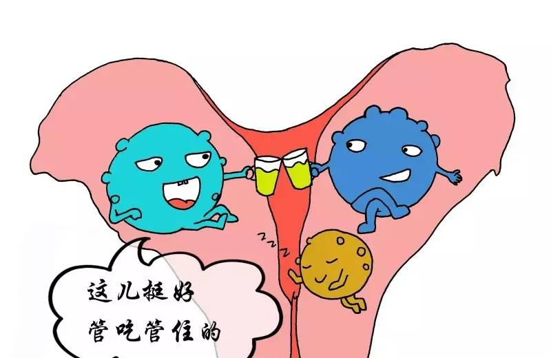 漫画：那些最爱撩骚的妇科常见病~