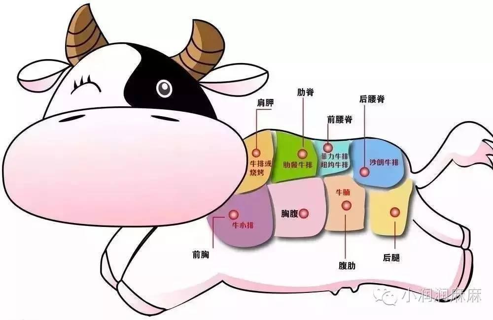 详细图解“肉泥”的制作方法及营养价值，如何真正的“补铁”？