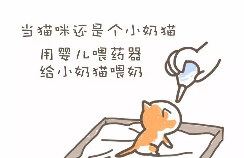 养猫和养娃是一样的，不信你看