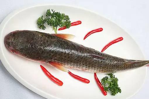 你买过这种鱼么？真的不适合给宝宝吃！