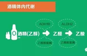 揭秘喝酒背后的真相！