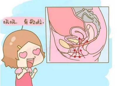 夹不住尿，爱爱时“那里”松弛，使这招！