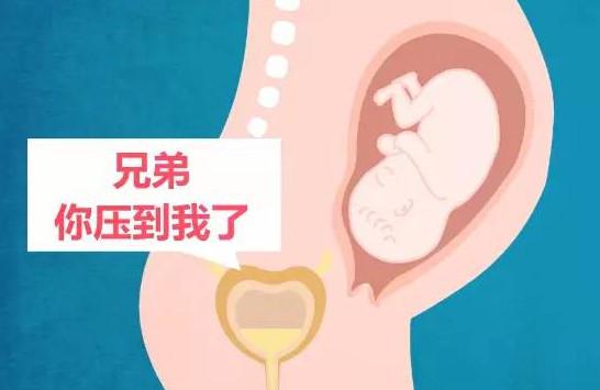 你的孕期为何不方便？半米医生教你轻松应对尿频便秘！