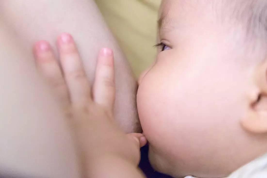 史上最全的月子餐单&下奶汤汇总！（准妈新妈必备）