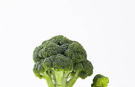 a2奶粉一箱几罐
