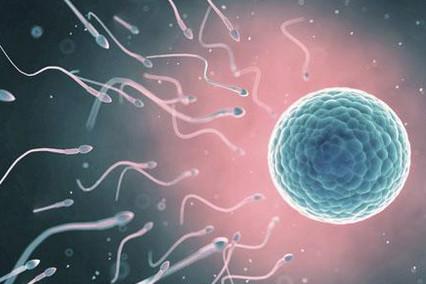 少精症患者的生育能力还OK吗？