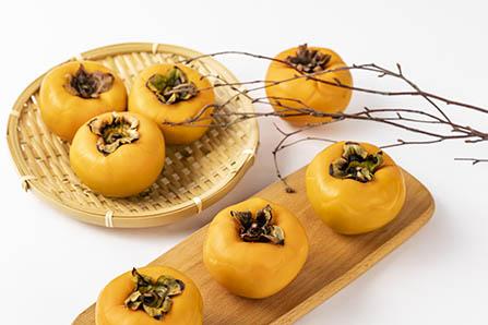 侧脑室增宽多久会吸收