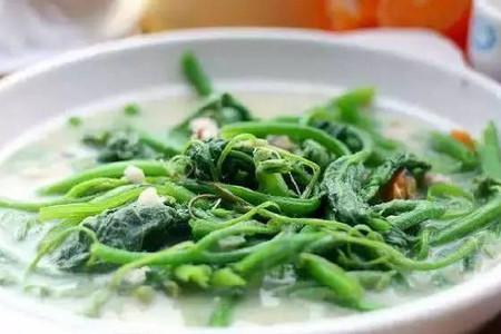 你还在吃南瓜叶吗?不吃后果才严重！