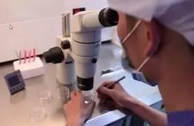 说说女性生育力保存的事儿