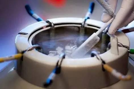 解冻2000多冷冻胚胎，真相让我分分钟惊呆！