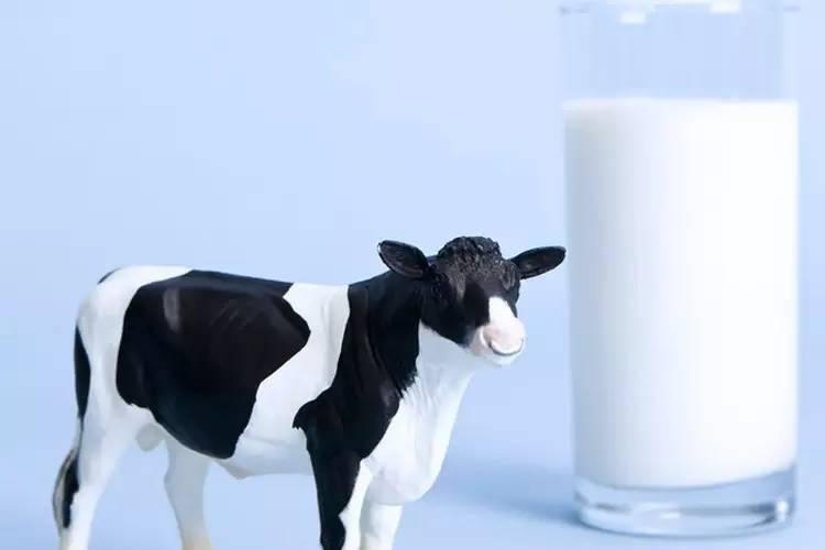 假的，骗子！澳洲巴氏奶被国家暂停，你一定要看清了