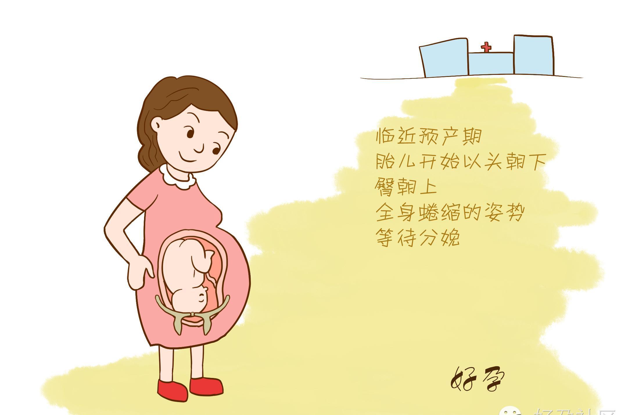 原来生孩子不是孕妈妈一个人的事情，胎儿也会帮忙