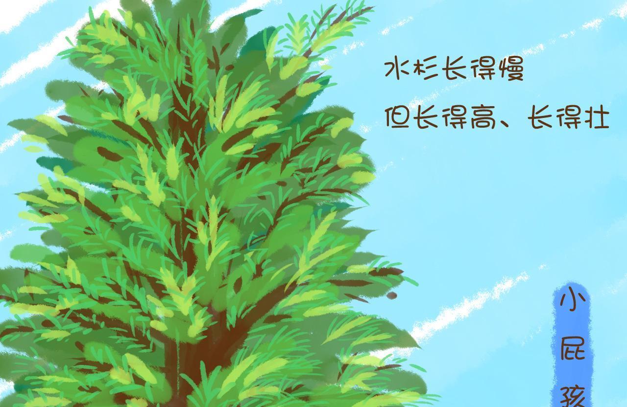 母亲的这三句话让儿子受益终身，如今他名扬海内外众人周知！