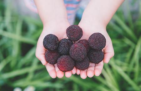 母鸡与老人的故事