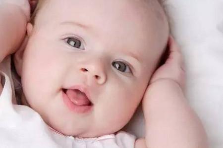 一直吃黑豆，卵泡反而不好排？！