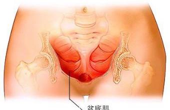 怎么运动缩阴效果最好 辣妈图解缩阴运动