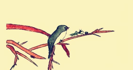 成语故事之螳螂捕蝉黄雀在后