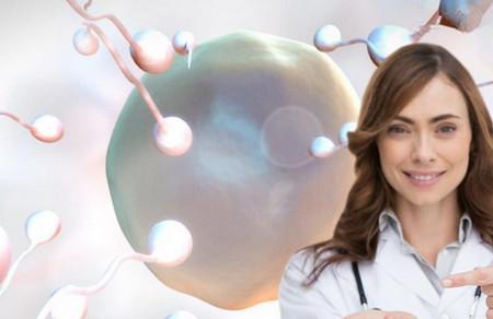 黄体酮必知的二三事,备孕女性请看