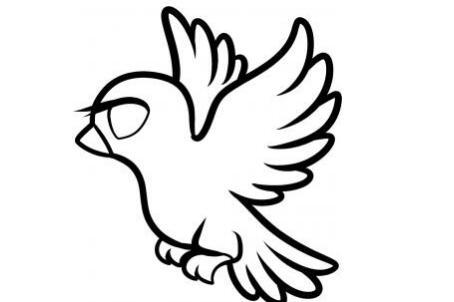 和平鸽简笔画图步骤