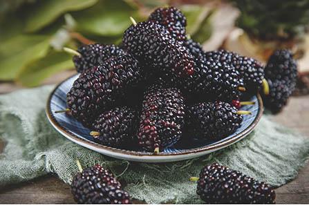 新生儿什么时候能看见东西