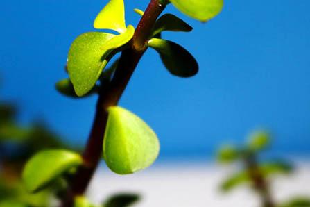 孕妇肚子硬是快生了吗