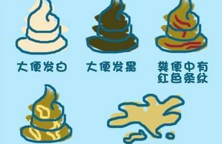 史上最豪华便便图鉴，一眼看透宝宝健康状况