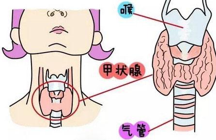 原来甲状腺对怀孕影响这么大！你们都检查了吗？