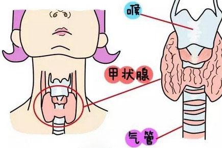 原来甲状腺对怀孕影响这么大！你们都检查了吗？