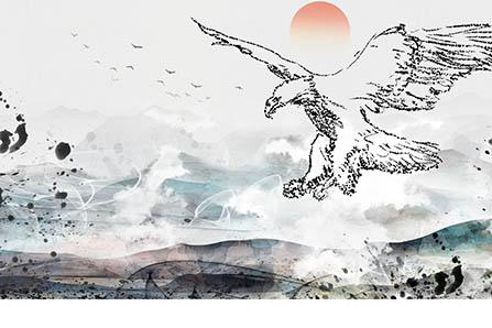 四维彩超怎么分辨男女