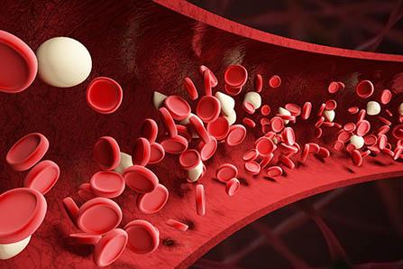 a2奶粉维生素d含量有多少