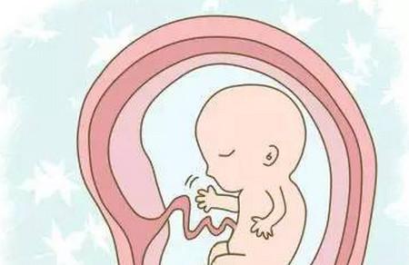胎动是怎样的一种体验？当妈的都知道！关于胎动的小秘密,你知道多少?