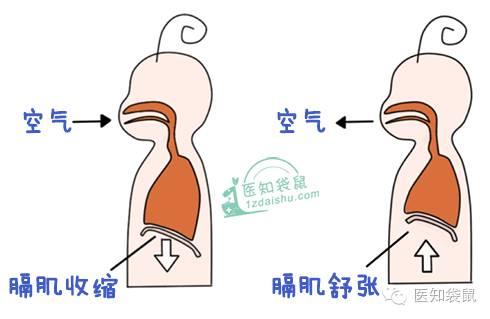 让宝宝1分钟停止打嗝的妙招！你会吗?