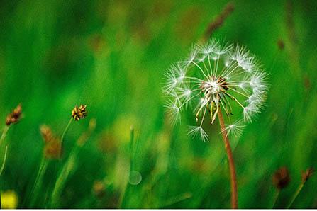 宝宝吃山楂好吗