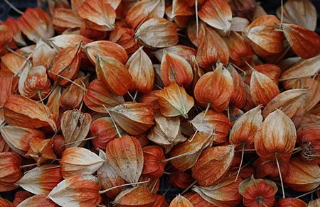 四维彩超和唐氏筛查的区别