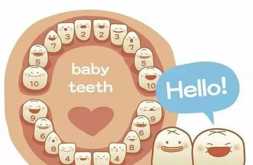 出牙急不得！婴幼儿出牙问答手册+磨牙工具一览