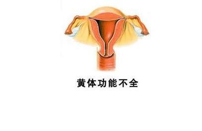 黄体功能不全影响好孕，日常如何做能有效改善呢？