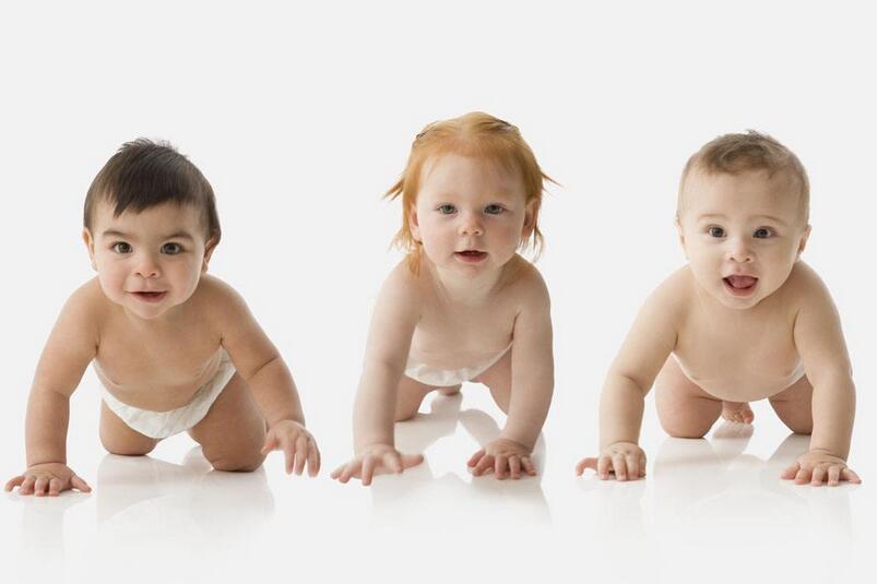 2017年白露节气出生的鸡宝宝好不好