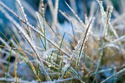 霜降出生的孩子好不好