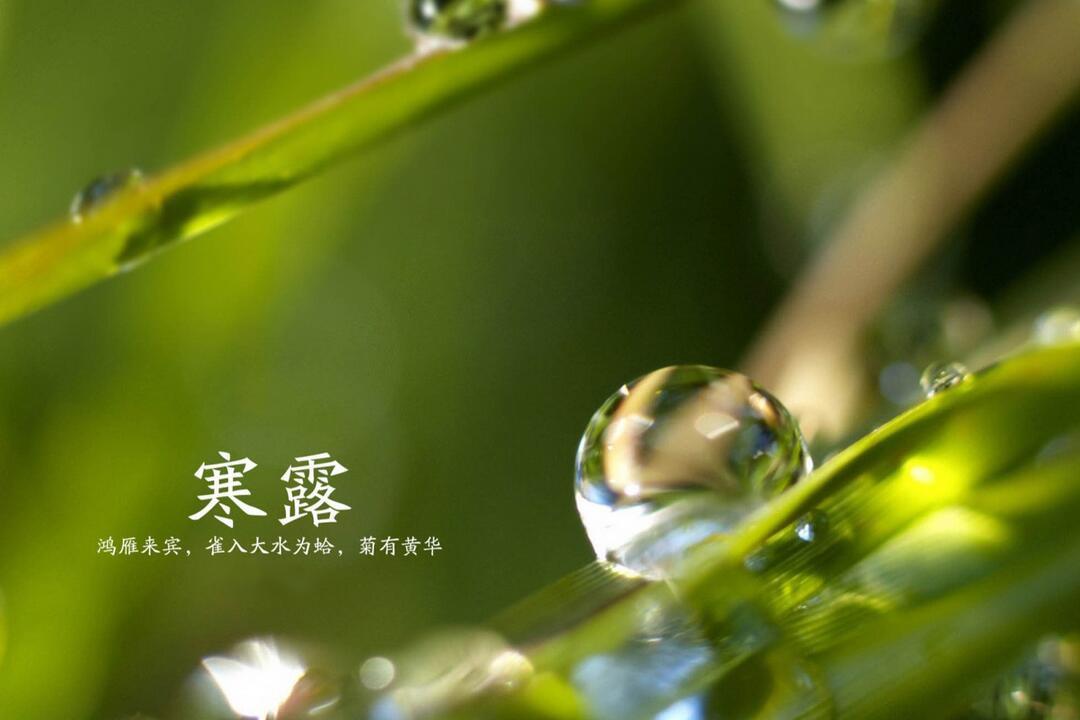 1-3岁宝宝寒露吃什么