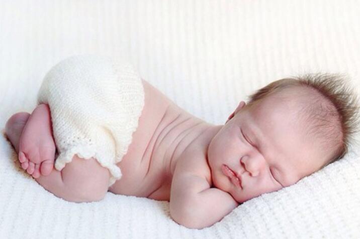 2018年6月份出生的狗宝宝好不好？好不好看这里